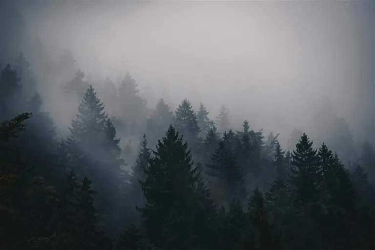 Understanding and Conquering Seasonal Depression 