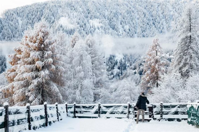 How to Combat Loneliness in Winter 